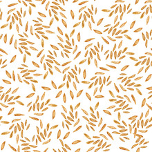 Seamless Pattern With Caraway On A White Background. Drawing With Colored Pencils.