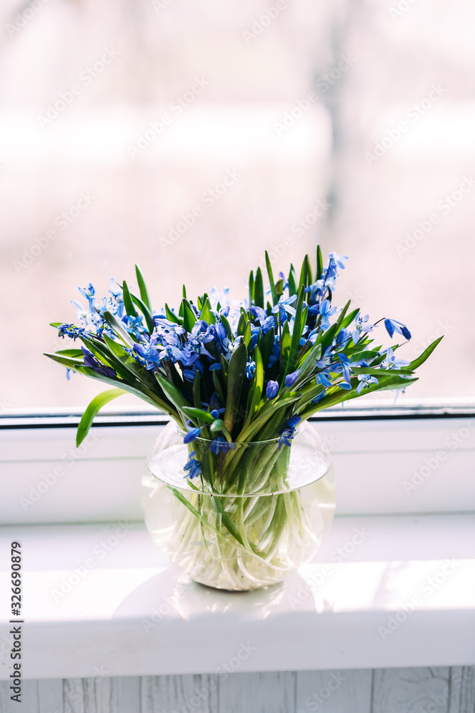 Spring bouquet of blue snowdrops in a vase - obrazy, fototapety, plakaty 