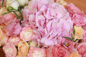   background, delicate flowers, hydrangea roses beauty wedding tenderness love good bouquet plants herbs