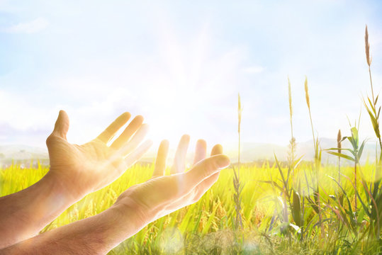 Hands with palms up in field with sparkles and ray