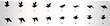Eagle flying animation sequence, silhouette, loop animation sprite sheet 