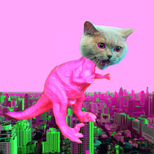 Contemporary Funny Art Collage.  Monster Cat Dinosaur In The City