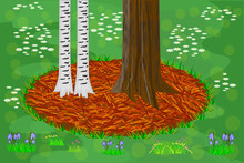 Mulch Gardening Concept With Trees, Red Mulch And Grass. Trees Trunk Base With Mulch And Lawn. Agriculture Outdoor Seasonal Work. Mulching Of Plants, Soil Protection. Landscape Design Mulch. Vector
