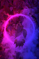 Glowing neon light circle on leaves background with fog, smoke.Layout for poster,banner,invitation, party. Moon light, fluorescent color palette. Copy space for text.