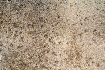 texture of old cement concrete wall. image for background.