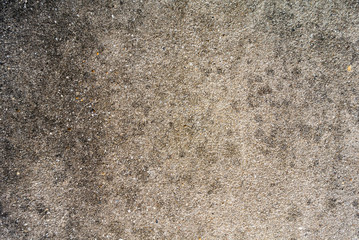 Wall Mural - texture of old cement concrete wall. image for background.