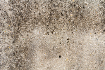 Wall Mural - texture of old cement concrete wall. image for background.