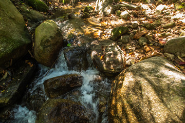 Wall Mural - Kathu Waterfall in the tropical forest area In Asia, suitable for walks, nature walks and hiking, adventure photography Of the national park Phuket Thailand,Suitable for travel and leisure.