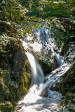 Fototapeta Tęcza - Fast streams of a mountain waterfall