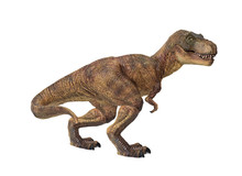 Portrait Of A Tyrannosaurus Rex On White Background