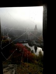 spider on web