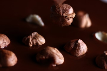 Sticker - hazelnuts close up falling into molten chocolate