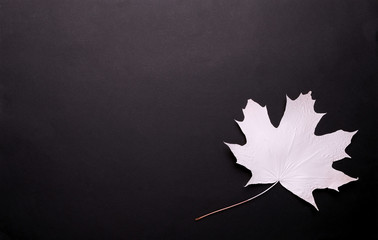 Poster - white maple leaf on a black background