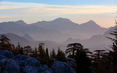 Wall Mural - foggy valley in morning mountains