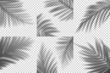 Aufkleber - Vector Transparent Shadows of Palm Leaves. Decorative Design Elements Set for Collages and Mockups
