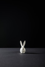 Decorative Bunny Isolated On Black Background, Panoramic Shot