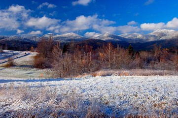 Canvas Print - winter