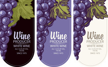 Set Of Vertical Wine Labels Or Banners With Grapes And Inscriptions In A Figured Frame. Wine Collection Premium Quality, Flat Vector Illustration