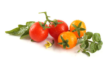 Wall Mural - Red and yellow cherry tomatoes