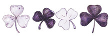 Set Of Pen And Ink Shamrock Illustrations. Hand-drawn Doodle Purple Illustration Of A Clover Leaves. Decorative Elements For Traditional Design For St. Patrick's Day, Ecological And Organic Designs