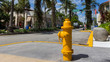 © Aurelien KEMPF-PIKSL - The Yellow Fire Hydrant in Miami Beach Florida