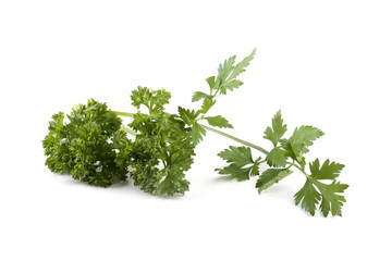 Poster - Parsley isolated on white