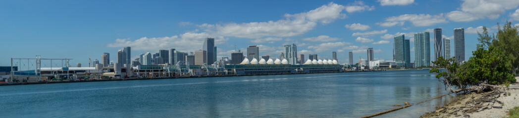 Wall Mural - Downtown Miami Panorama in Florida