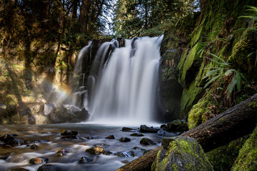 waterfall in forest