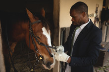 Man Preparing His Dressage Horse Before Riding