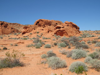 Wall Mural - red rock canyon in utah usa