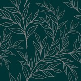 Fototapeta  - SEAMLESS BACKGROUND WITH BRANCHES OF RUSKUS