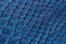 Print Of Genuine Leather Close-up, Embossed Under The Blue Skin A Reptile, Alligator, Reptile, Trendy Print