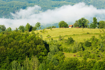 Wall Mural - Summer landscape in Apuseni mountains, Romania