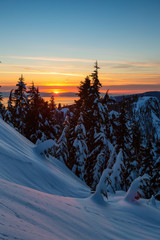 Canadian Nature Landscape covered in fresh white Snow during colorful and vibrant winter sunset. Taken in Seymour Mountain, North Vancouver, British Columbia, Canada.