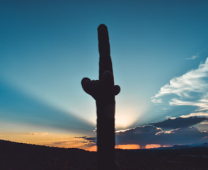 Phoenix Arizona Landscapes