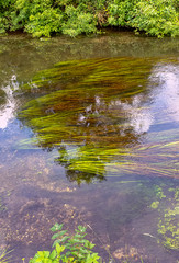 Wall Mural - River Test in Mottisfont, Hampshire, United Kingdom