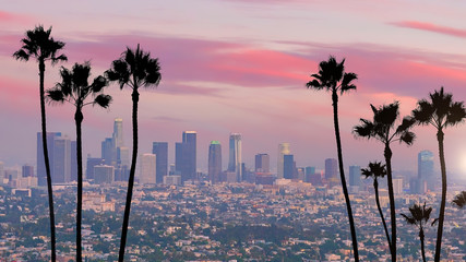 Wall Mural - Beautiful sunset of Los Angeles downtown skyline