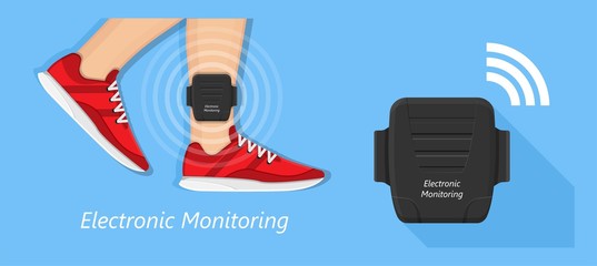 electronic monitoring EM tagging system tag territory offences  perpetrator