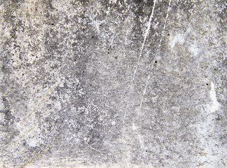 Wall Mural - Abstract,Texture of old concrete wall,Grey Cement textured abstract background,old wall with lichen,Dirty white wall background close up moss texture on cement wall