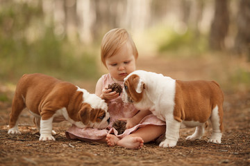 Wall Mural - Cute little baby with two English bulldog puppies playing. Place for the inscription. Concept: relationships, happiness, family.