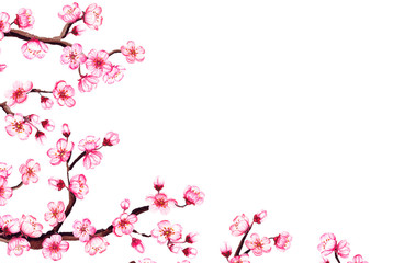 Watercolor floral sakura frame. Spring cherry blossom border, isolated on white.