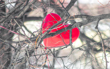 A red balloon in the shape of a heart got tangled in the branches of a tree.