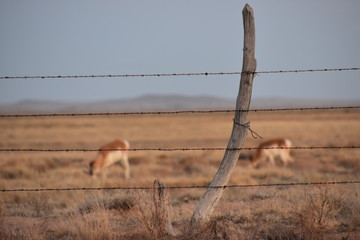 A journey from Colorado to New Mexico