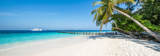 Wall Mural - beautiful beach panorama with palm tree