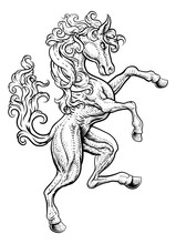 A Horse Rearing Rampant On Its Hind Legs In A Coat Of Arms Crest Woodcut Style