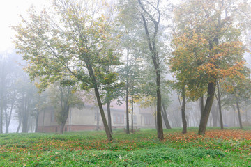 Wall Mural - Misty morning in the park. Old, abandoned house among trees.