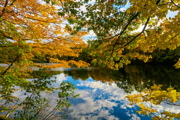 Colorful and autumnal trees reflecting in the water, at the St Bruno national park, Québec