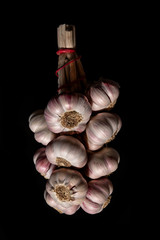 Wall Mural - close-up of a garlic head on a black background