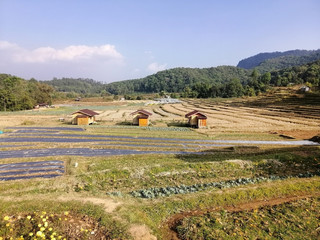 Wall Mural - Homestay in Mae Klang Luang Village, Doi Inthanon National Park, surrounded by mountains