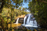 Fototapeta Krajobraz - Waterfall in the middle of the Atlantic forest on a sunny day and very green.